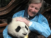 Panda Holding Services at Chengdu Panda Research and Breeding Base