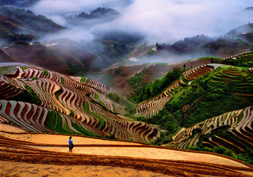 Dragon's Backbone Rice Terraces, Longsheng