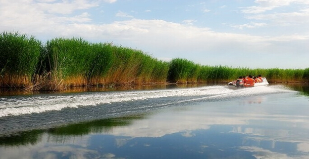 Lotus Lake in China's Xinjiang Lotus Lake in China's Xinjiang