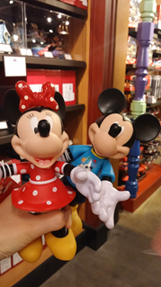 Tour in Shanghai Disneyland