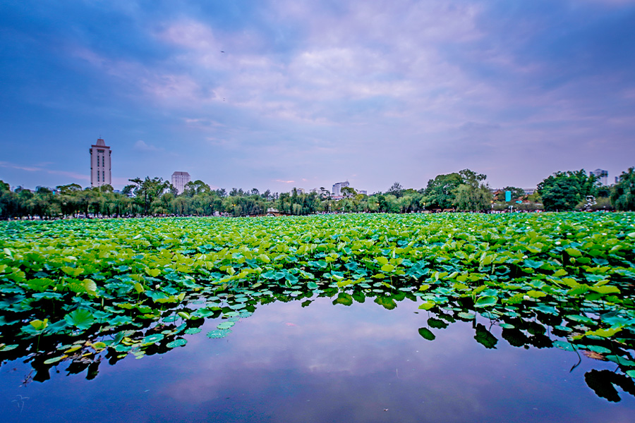 Kunming Green Lake Park