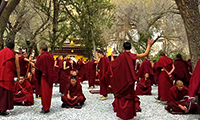 Monks from Japan travel overseas to see the holy religion and world roof of Tibet.