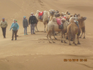Tengger Desert in China 